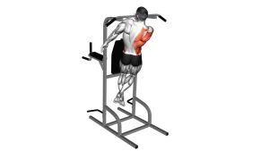 Read more about the article Single-Arm Pull-Up
