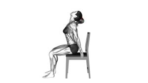 Read more about the article Sitting Scapular Adduction