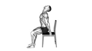 Read more about the article Seated Scapular Adduction