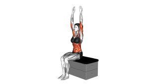Read more about the article Sitting Shoulder Press Toe Touch on a Padded Stool