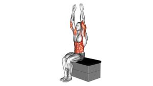 Read more about the article Sitting Shoulder Press Toe Touch on a Padded Stool