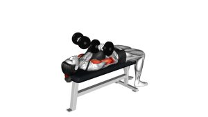 Read more about the article Dumbbell Lying Supine Curl