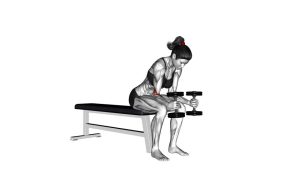Read more about the article Dumbbell Seated Neutral Wrist Curl