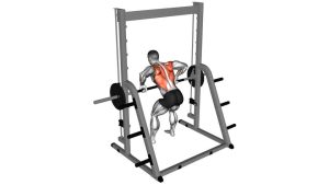 Read more about the article Smith Machine Bent-Over Row