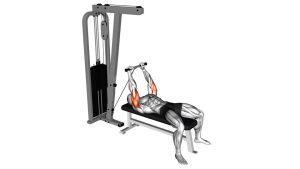 Read more about the article Cable Lying Triceps Extension (Low Pulley)