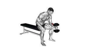 Read more about the article Dumbbell One-Arm Seated Neutral Wrist Curl