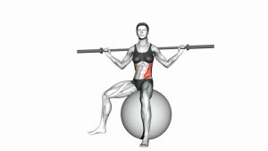 Read more about the article Barbell Seated Twist on Stability Ball