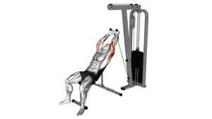 Read more about the article Cable Rope Incline Triceps Extension