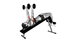 Read more about the article Dumbbell Decline Triceps Extension