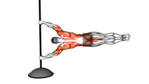 Read more about the article Vertical Pole Waist Flag