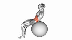 Read more about the article Stability Ball Crunch (Full Range – Hands Behind Head)
