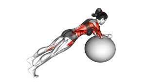 Read more about the article Stability Ball Rounded Rollout