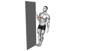 Read more about the article Standing Biceps Curl Door Frame