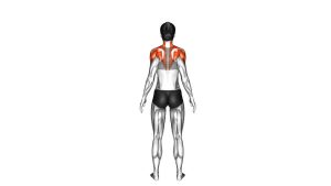 Read more about the article Standing Scapular Rotation