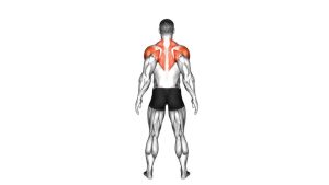 Read more about the article Standing Scapular Rotation