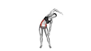 Read more about the article Standing Side Bend (Bent Arm)