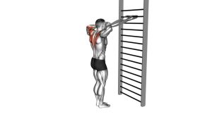 Read more about the article Standing Supinated Face Pull with Towels