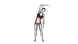 Read more about the article Standing Two-Side Bend (Bent Arm)
