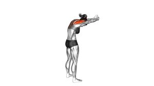Read more about the article Standing Upper Back and Shoulder Stretch