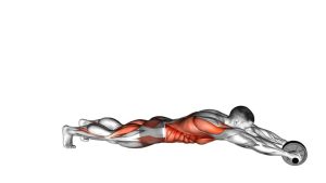 Read more about the article Standing Wheel Rollout