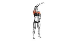 Read more about the article Standing Yin Yang Circles