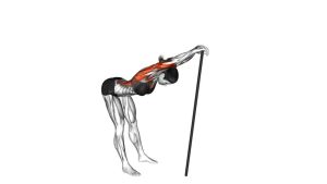 Read more about the article Stick Lat Stretch