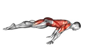 Read more about the article Straddle Planche