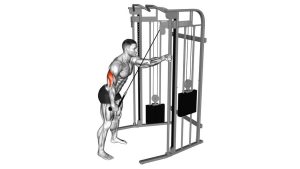 Read more about the article Cable Single-Arm Triceps Pushdown (Rope Attachment)