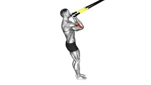 Read more about the article Suspension Arm Curl