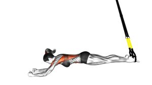 Read more about the article Suspender Body Saw