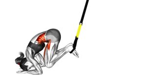 Read more about the article Suspender Crunch