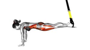 Read more about the article Suspender Front Plank