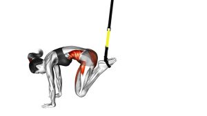 Read more about the article Suspender Jackknife