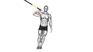 Read more about the article Suspender One-Arm Biceps Curl