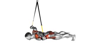 Read more about the article Suspension Prone T Raise