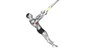 Read more about the article Suspension Scapular Retraction