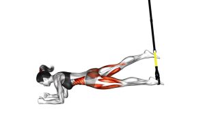 Read more about the article Suspender Single-Leg Plank
