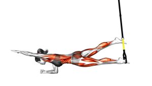 Read more about the article Suspender Single-Leg Plank (Straight-Arm)