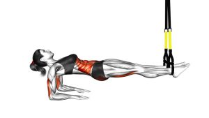 Read more about the article Suspender Supine Plank
