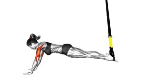 Read more about the article Suspension Triceps Extension Push-Up