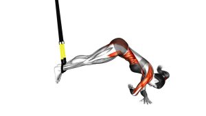 Read more about the article Suspender Twist Side