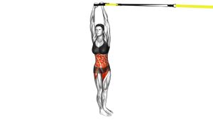 Read more about the article Suspender Twist-Up