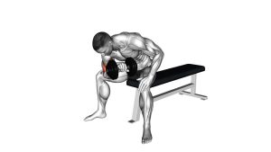 Read more about the article Dumbbell Seated Reverse-Grip Concentration Curl