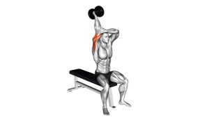 Read more about the article Dumbbell Seated Single-Arm Overhead Triceps Extension