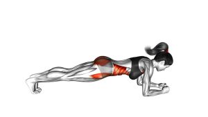 Read more about the article Front Plank