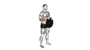 Read more about the article Weighted Plate Standing Hands Torsion