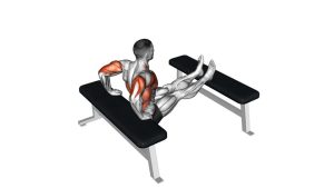 Read more about the article Bench Triceps Dip (Leg-Supported)