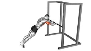 Read more about the article Bodyweight Triceps Press