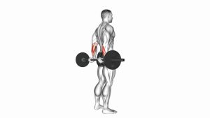 Read more about the article Barbell Standing Back Wrist Curl