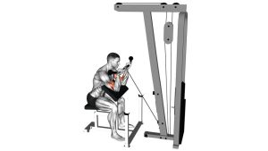 Read more about the article Cable Reverse Preacher Curl